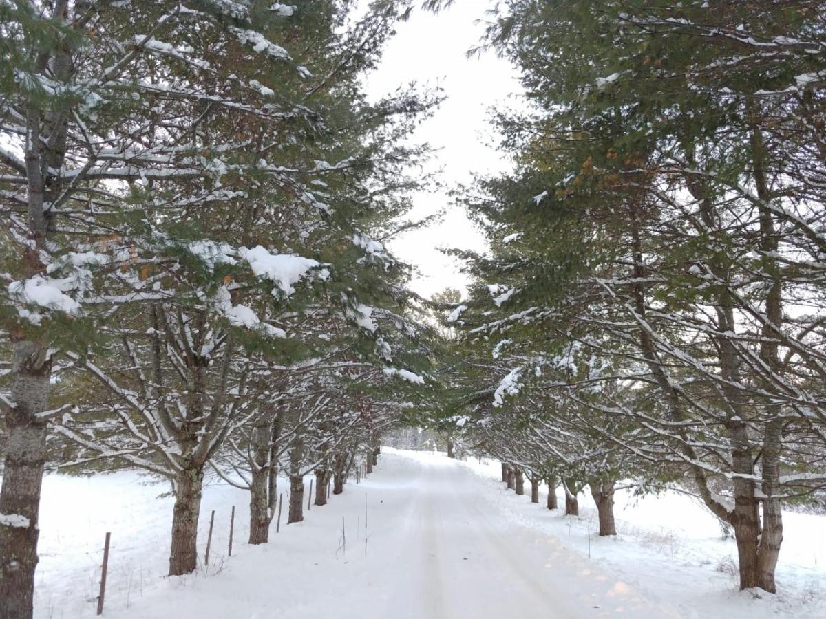 Spacious Country Retreat Close To Town And Nature, Sylvana Farm Vt 蒙彼利埃 外观 照片