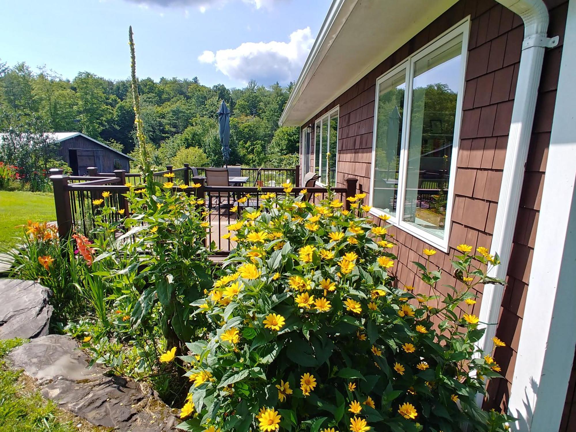 Spacious Country Retreat Close To Town And Nature, Sylvana Farm Vt 蒙彼利埃 外观 照片
